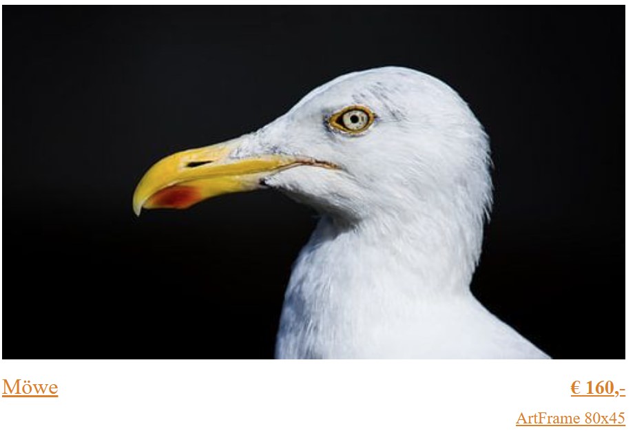 Fotografie für Fine-Art Print, Fotodruck auf Leinwand, Poster als Vögel Wandbild Möwe, Kunst Fotoabzug. Natur, Nordse, Tiere, Meer.