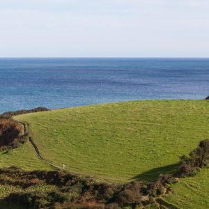 Bild: Countryside Sheep erhältlich als Fine Art Poster und Druck auf Leinwand in hervorragender Bildschärfe.