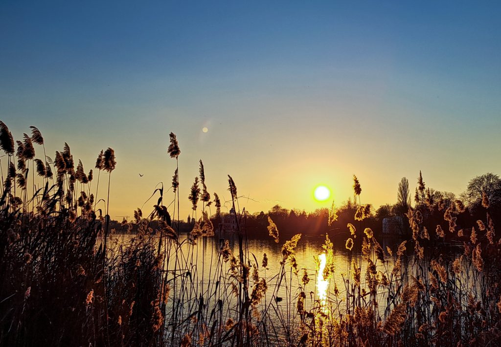 Sonnenuntergang, Foto Poster in hochwertiger Papierqualität als individuelles Geschenk für Weihnachten. Auch als Wandbild Deko bestellbar.