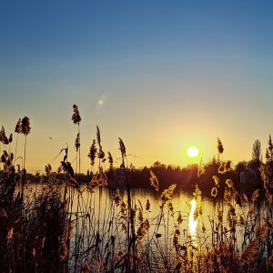 Produkfoto: Poster, Sonnenuntergang. Dein persönliches Weihnachtsgeschenk. Eine originelle Geschenk Idee.