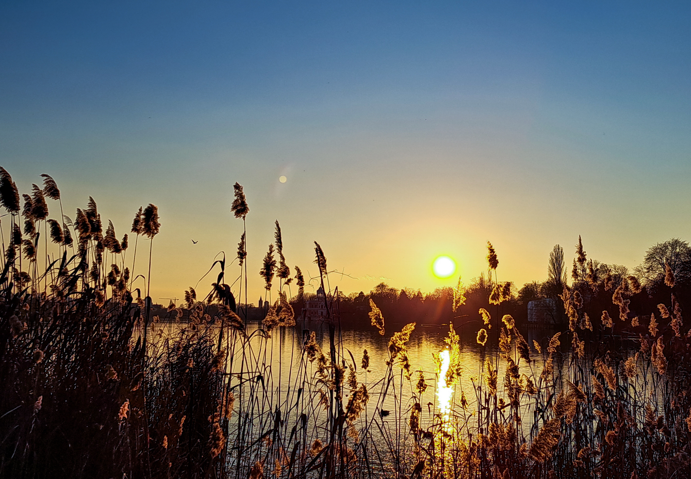 Weihnachtsgeschenk: Poster Bild Sonnenuntergang- ab 69 € bestellen.