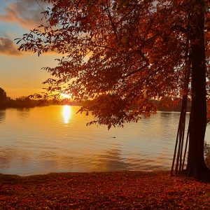 Produkt Druck: Fine Art Poster, Herbstlandschaft bei Sonnenuntergang.