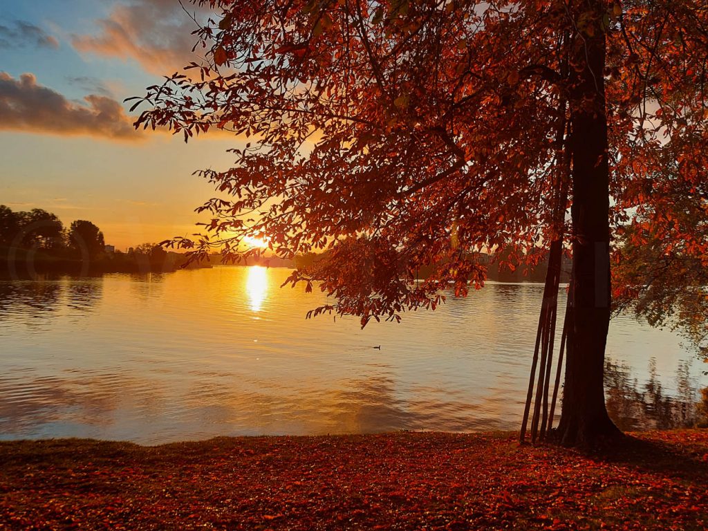 Produktbild: Fine Art Poster, Herbstlandschaft bei Sonnenuntergang.