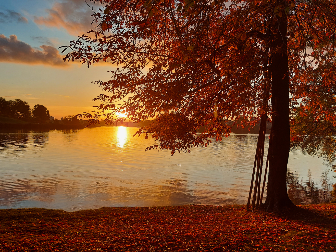 Fine Art Print, Herbstlandschaft. 
Die Fotografie ist auf hochwertige Leinwand gedruckt.