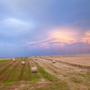 Fine Art Wandbild, Heuballen Landschaft im Sonnenuntergang