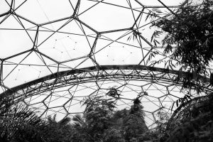 Schwarz weiß Wandbild Urbane Gärten. Gestalte dein Foto für Büroräumlichkeiten oder das Office im passenden Wunschformat.